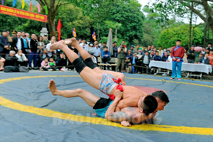 Over 30 wrestlers compete in 2023 Hai Duong Open National Wrestling Tournament